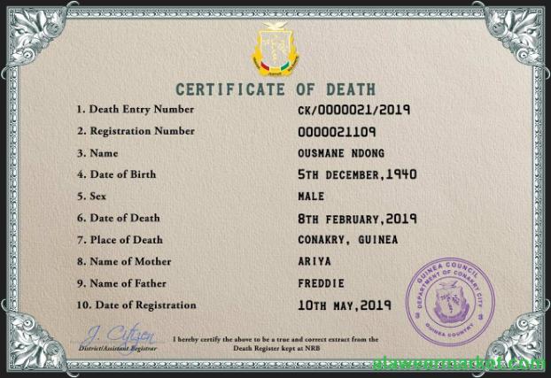 Guinea death certificate PSD template
